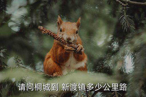 請(qǐng)問桐城到 新渡鎮(zhèn)多少公里路