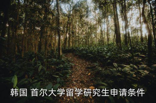 首爾大學(xué),韓國(guó)哪兩所大學(xué)最好?
