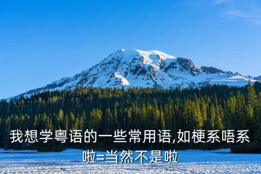我想學粵語的一些常用語,如梗系唔系啦=當然不是啦