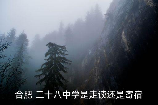 合肥 二十八中學是走讀還是寄宿