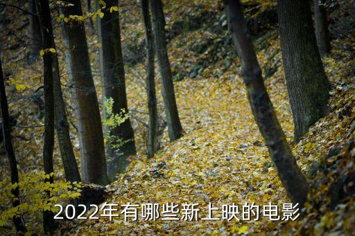 2022年有哪些新上映的電影