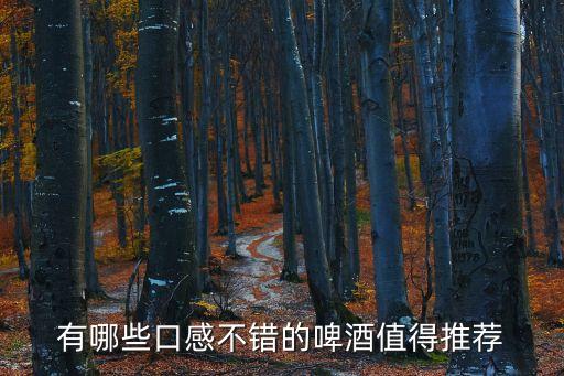 有哪些口感不錯的啤酒值得推薦