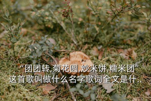 菊花園,菊花圓!三原屈家村菊花園