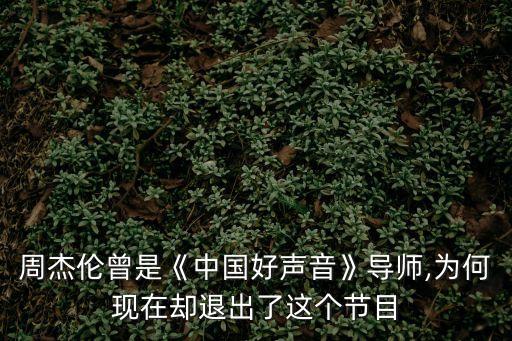 周杰倫曾是《中國好聲音》導師,為何現在卻退出了這個節目