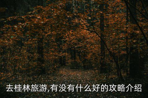 去桂林旅游,有沒有什么好的攻略介紹