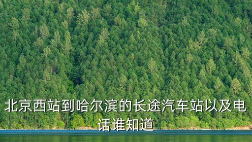 北京西站到哈爾濱的長途汽車站以及電話誰知道