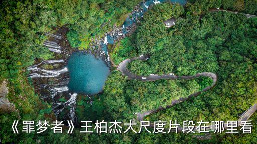 《罪夢者》王柏杰大尺度片段在哪里看