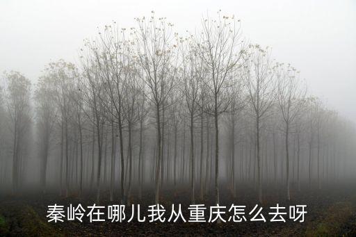 秦嶺在哪兒我從重慶怎么去呀