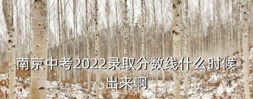 南京中考2022錄取分數線什么時候出來啊
