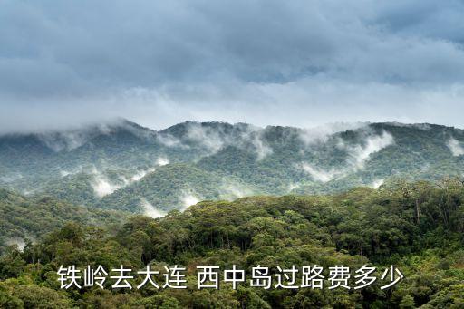 西中島,從長興島到西中島有哪些好玩的地方?