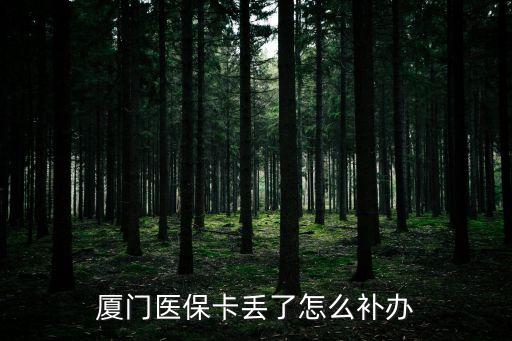 廈門(mén)醫(yī)保電話,廈門(mén)醫(yī)保卡查詢電話有三種查詢方式