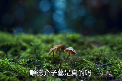 順德介子墓是真的嗎