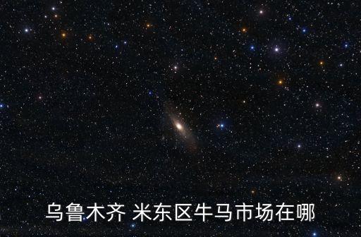 米東區(qū),烏魯木齊米東區(qū)哪些小區(qū)屬于98中學(xué)區(qū)?