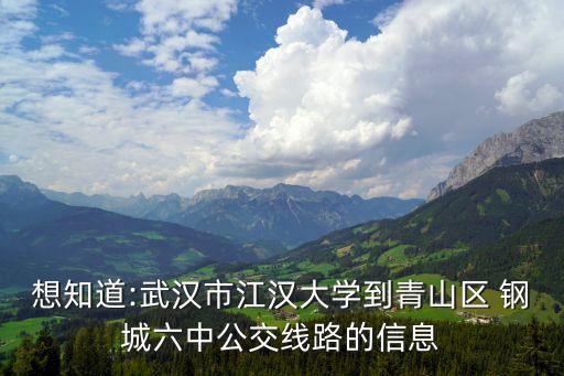 鋼城六中,武漢中考學校排名出爐各區排名名單公布