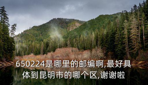 金泉小區(qū),金刀營(yíng)村西臨北京路南北連金星立交橋