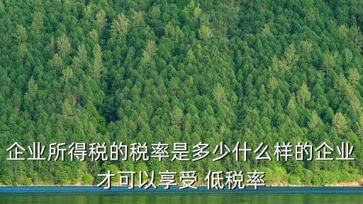 企業所得稅的稅率是多少什么樣的企業才可以享受 低稅率