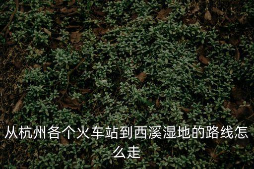 西溪濕地地圖,從杭州東站到西溪濕地公園20公里內(nèi)可直達(dá)目的地