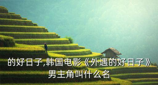外遇的好日子,韓國電影《外遇的好日子》男主角叫什么名?