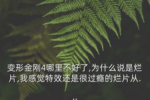 變形金剛4哪里不好了,為什么說是爛片,我感覺特效還是很過癮的爛片從...