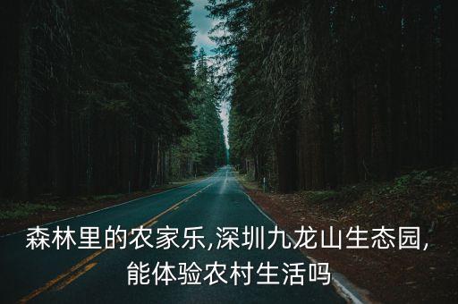 九龍生態園,烏魯木齊青馬樂園九龍生態園開放售賣