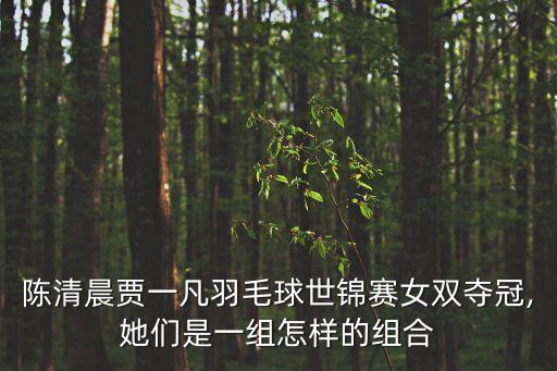 羽毛球女雙,羽毛球女雙發(fā)球規(guī)則陳清晨賈一凡奪冠