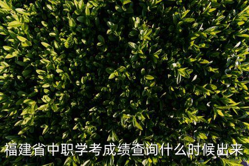 福建省學業水平考試成績查詢,高中學業水平考試有何重要性?