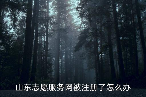 陶都志愿者網,中國志愿者服務網網址:網址是什么?