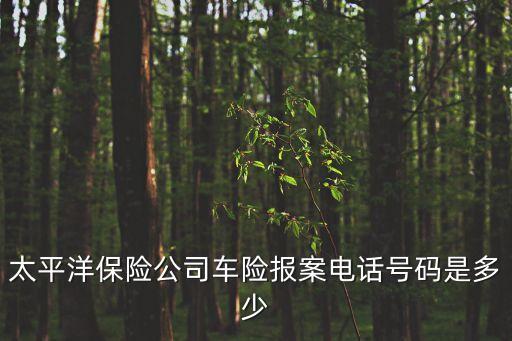 太平洋保險公司車險報案電話號碼是多少