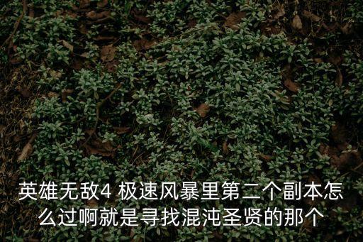 英雄無敵4 極速風暴里第二個副本怎么過啊就是尋找混沌圣賢的那個
