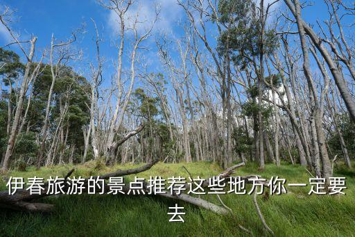伊春茅蘭溝,從伊春火車站到茅蘭溝有車嗎?**