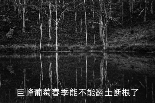 浦江葡萄,浦江特色美食攻略:浦江種植葡萄歷史悠久