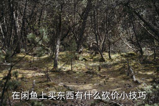 在閑魚上買東西有什么砍價小技巧