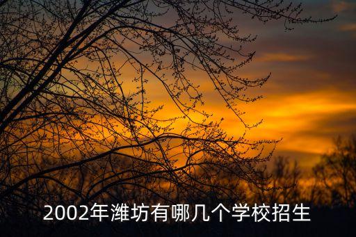 2002年濰坊有哪幾個學校招生