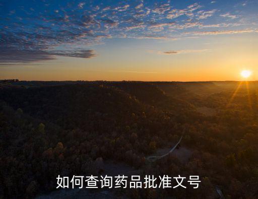 藥品查詢(xún)平臺(tái),怎么查藥品真?zhèn)?