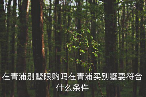 青浦房產(chǎn),青浦小產(chǎn)權(quán)房能辦房產(chǎn)證嗎?法律咨詢
