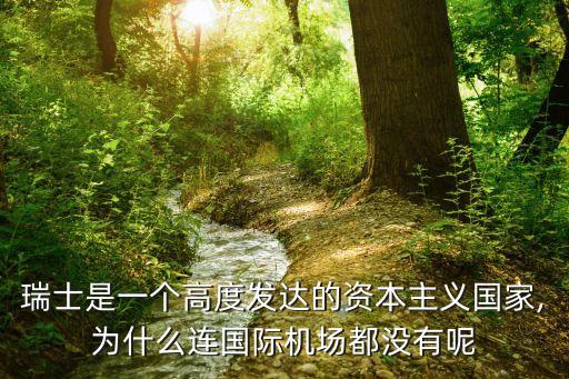 瑞士是一個高度發(fā)達(dá)的資本主義國家,為什么連國際機(jī)場都沒有呢