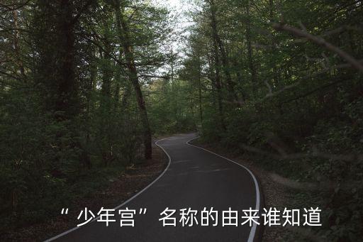 “ 少年宮”名稱(chēng)的由來(lái)誰(shuí)知道