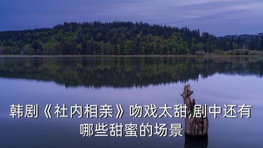 韓劇《社內相親》吻戲太甜,劇中還有哪些甜蜜的場景