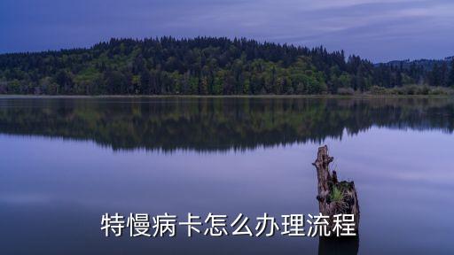 特慢病,