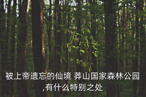 莽山,莽山山體垂直高差大山勢雄峻渾渾
