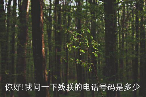 你好!我問一下殘聯的電話號碼是多少