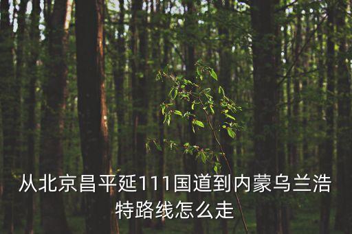 北京到烏蘭浩特,從北京到烏蘭浩特直達(dá)列車有高級(jí)軟臥嗎?