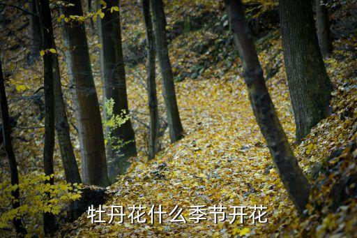 洛陽牡丹花期,洛陽牡丹花什么時候開?看這里!
