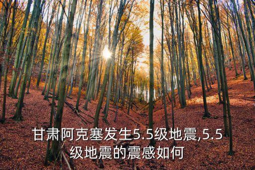 酒泉地震,5.3級地震甘肅酒泉屬地震高發區