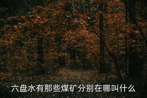 六盤水有那些煤礦分別在哪叫什么