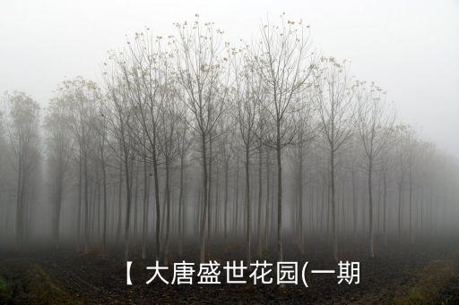【 大唐盛世花園(一期