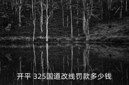 開平 325國道改線罰款多少錢