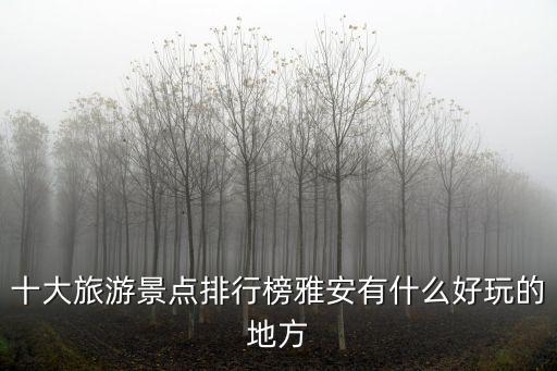 十大旅游景點排行榜雅安有什么好玩的地方