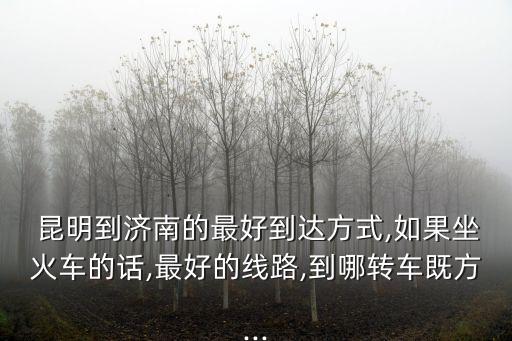  昆明到濟(jì)南的最好到達(dá)方式,如果坐火車(chē)的話,最好的線路,到哪轉(zhuǎn)車(chē)既方...