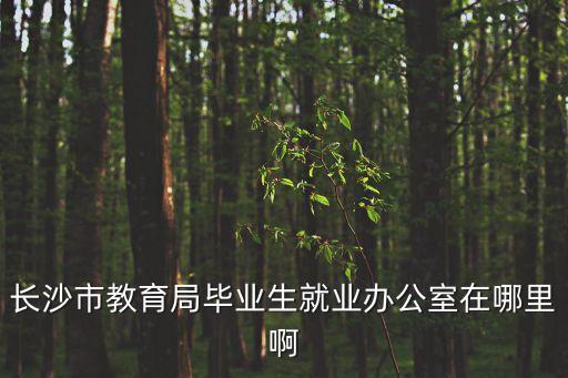 長(zhǎng)沙市教育局畢業(yè)生就業(yè)辦公室在哪里啊